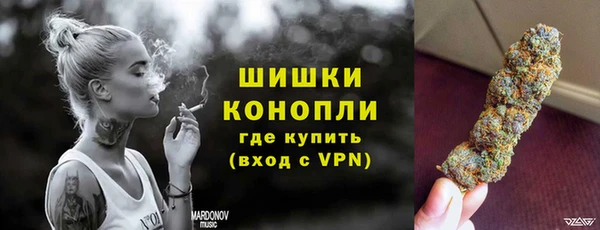 PSILOCYBIN Аркадак