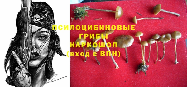 PSILOCYBIN Аркадак