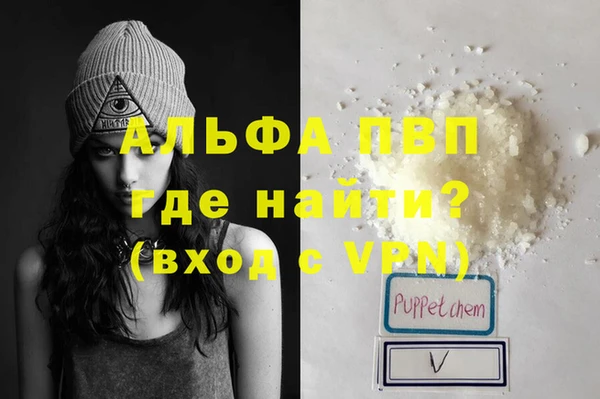 PSILOCYBIN Аркадак