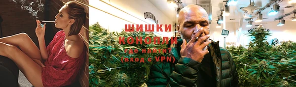 PSILOCYBIN Аркадак
