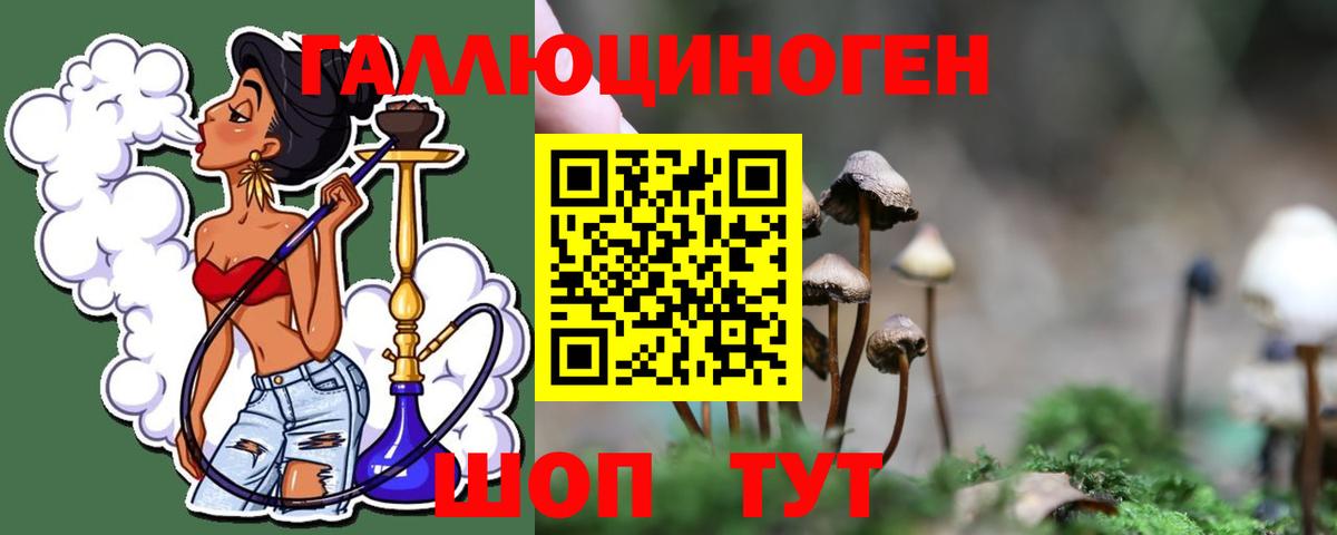 Псилоцибиновые грибы GOLDEN TEACHER  Псилоцибиновые грибы GOLDEN TEACHER  Вход с VPN  Чапаевск 