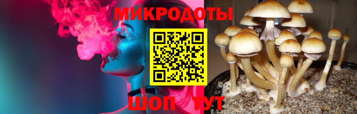 Псилоцибиновые грибы мицелий Чапаевск